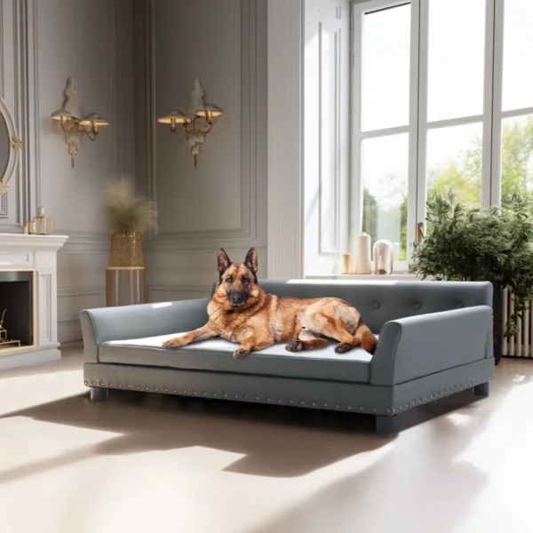 BINGOPAW Rectangle Modern Dog Sofa